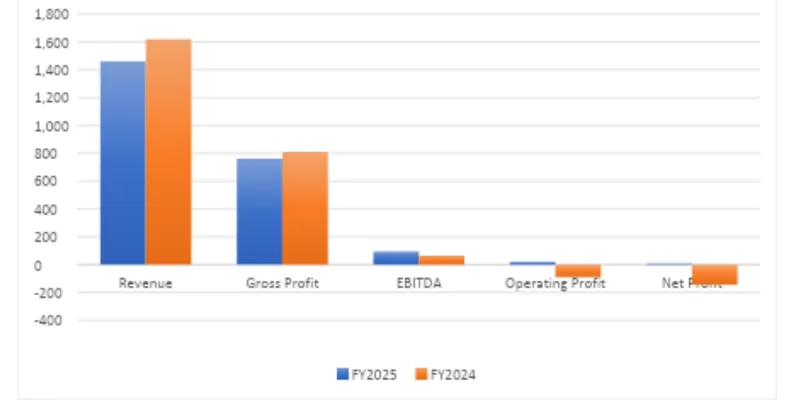 Financial Summary Table